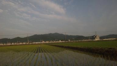 ���N���͎O���̓��I