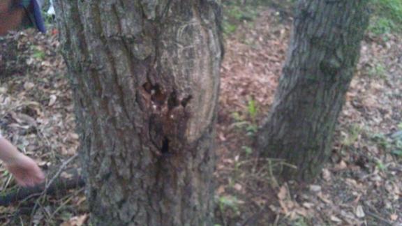 ���N���͎O���̓��I