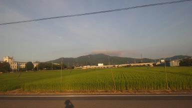 ���N���͎O���̓��I