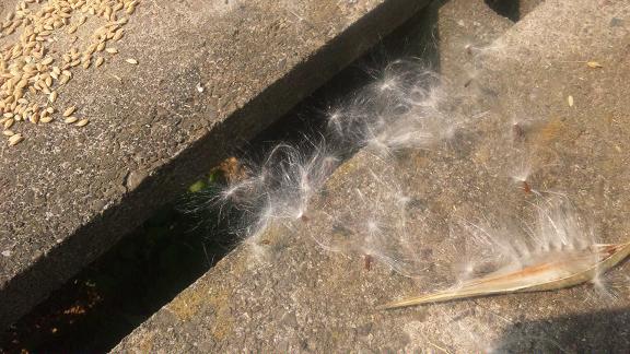 ���N���͎O���̓��I