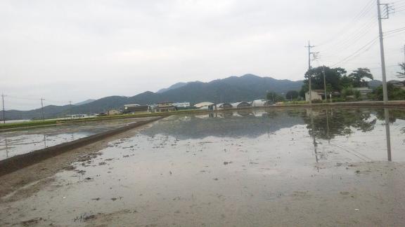 ���N���͎O���̓��I