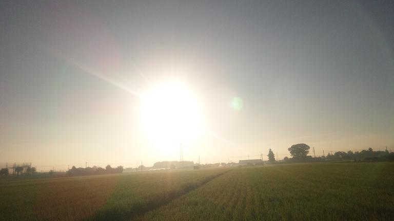 ���N���͎O���̓��I