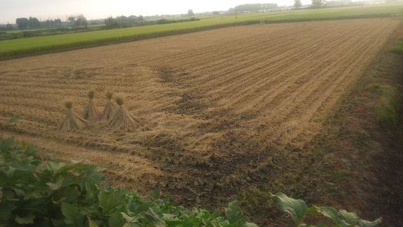 ���N���͎O���̓��I