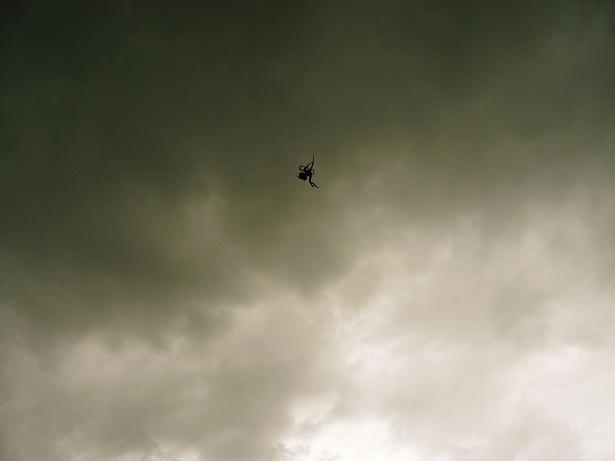 ���N���͎O���̓��I