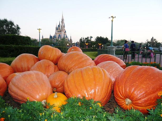 ���N���͎O���̓��I