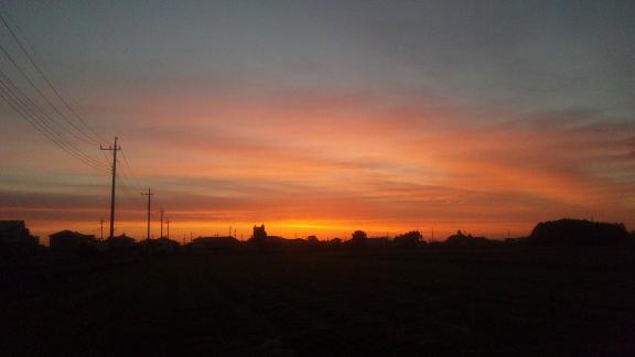 ���N���͎O���̓��I