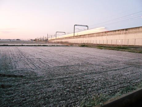 ���N���͎O���̓��I