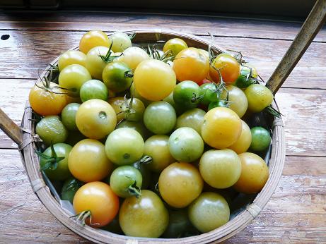 ���N���͎O���̓��I