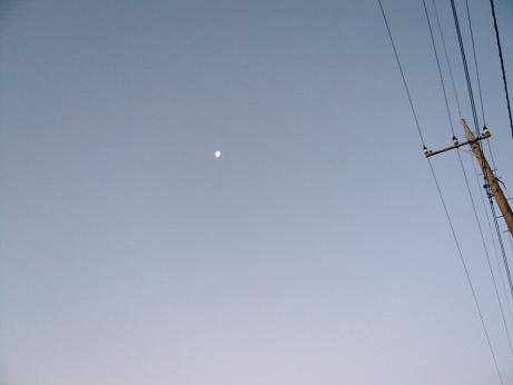 ���N���͎O���̓��I