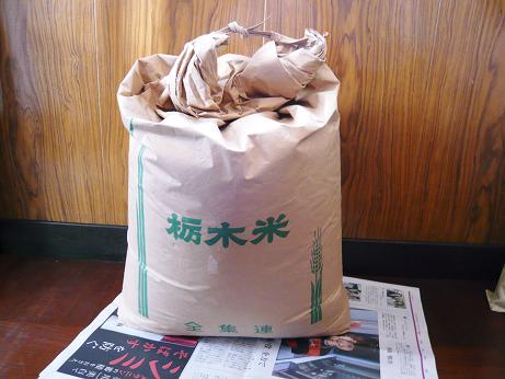 ���N���͎O���̓��I