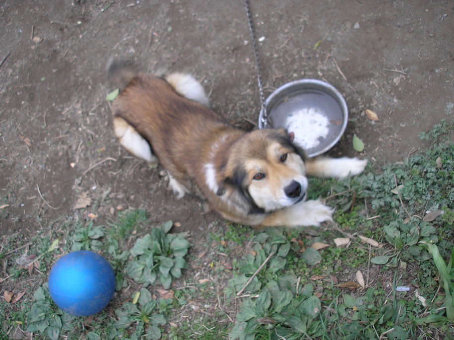 �͂��߂̂ف[�ނ؁[���I�I