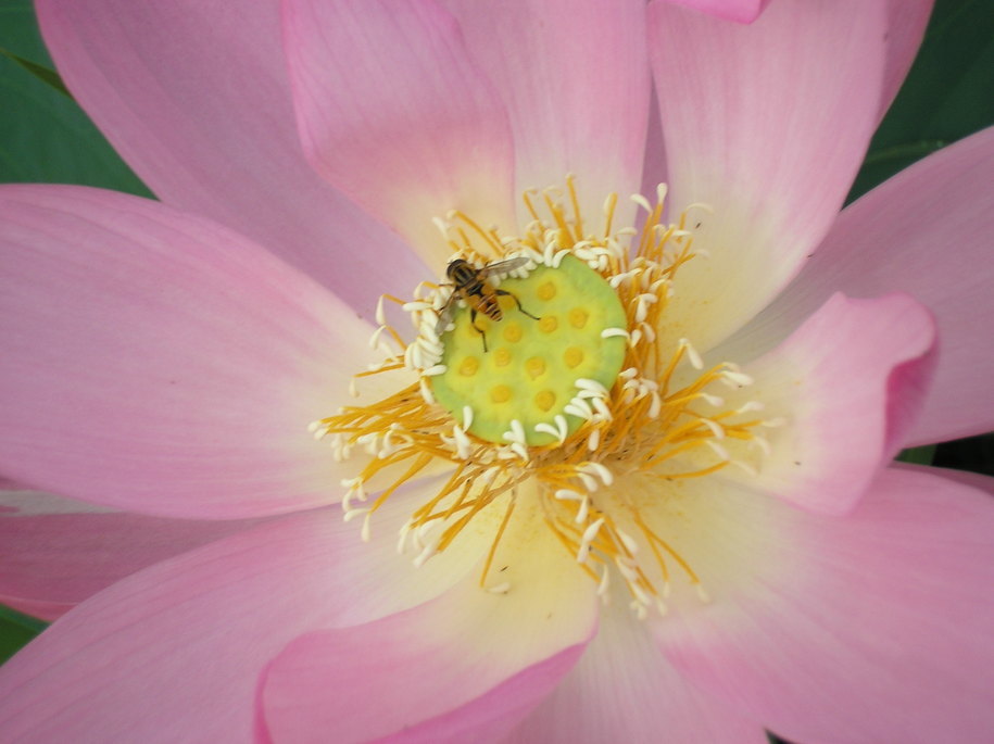 �͂��߂̂ف[�ނ؁[���I�I