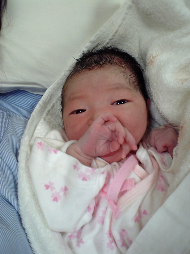 ����Ȃ����̐������L