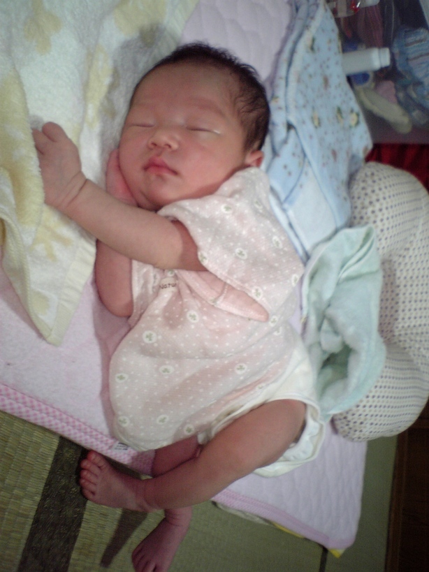 ����Ȃ����̐������L