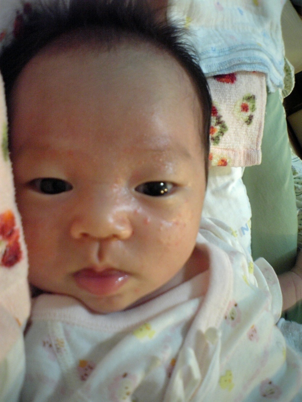 ����Ȃ����̐������L