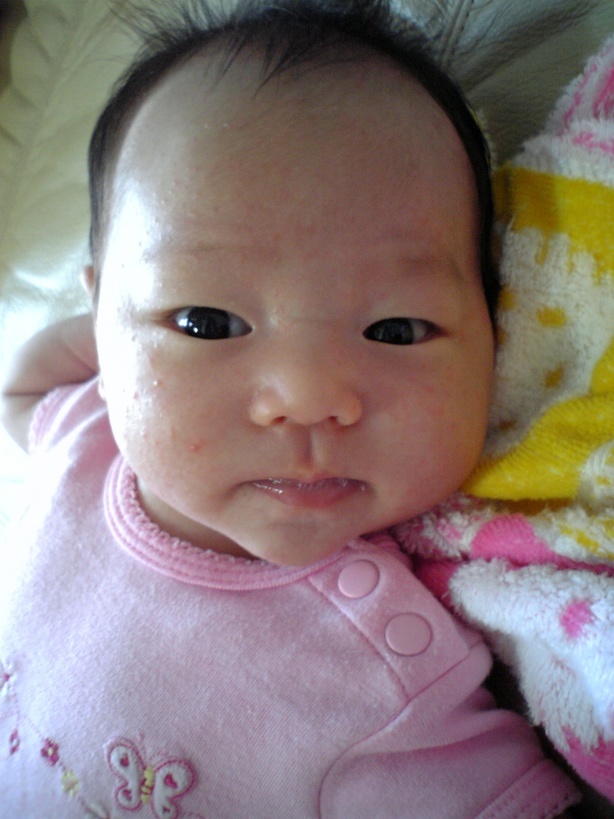 ����Ȃ����̐������L