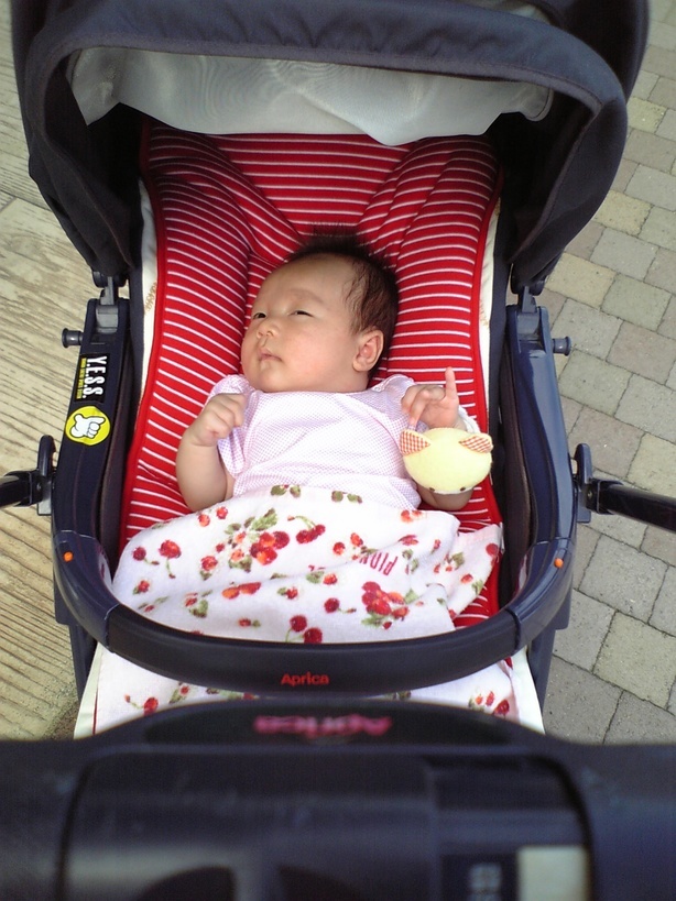 ����Ȃ����̐������L