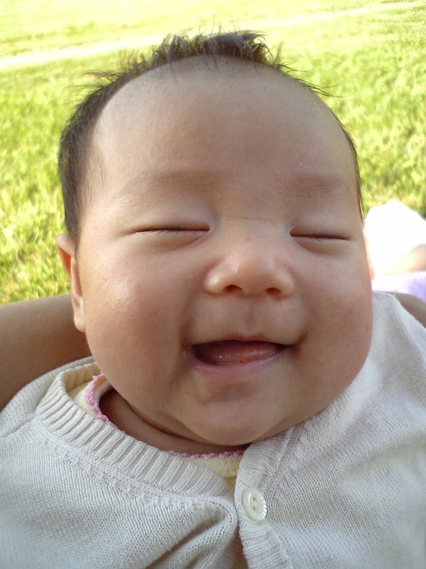 ����Ȃ����̐������L