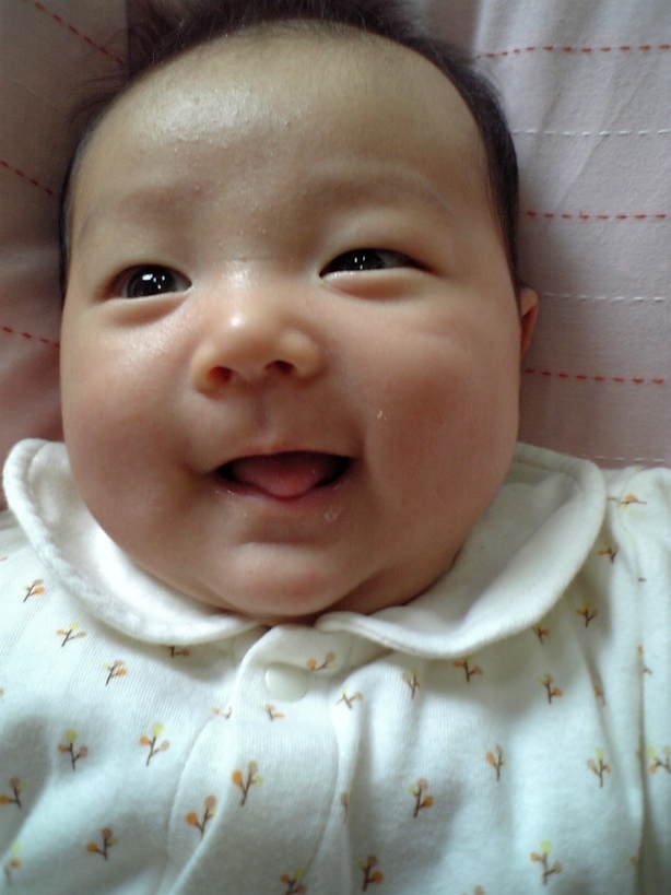 ����Ȃ����̐������L