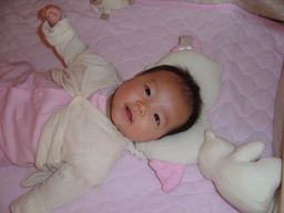 ����Ȃ����̐������L