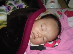 ����Ȃ����̐������L