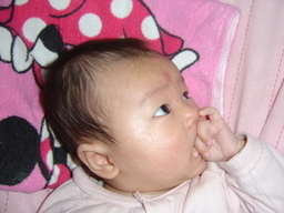 ����Ȃ����̐������L