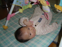 ����Ȃ����̐������L