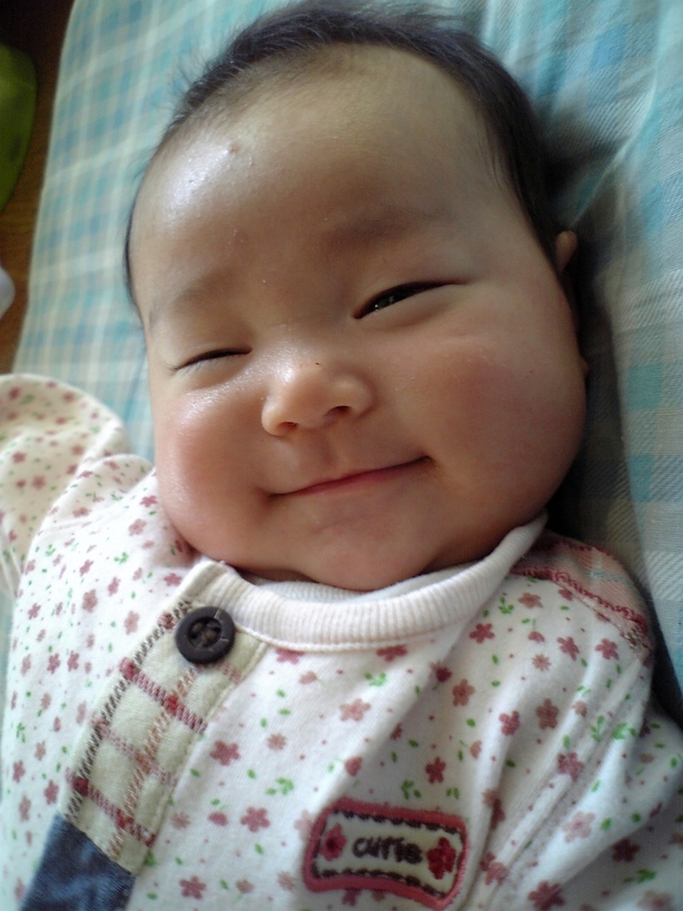 ����Ȃ����̐������L