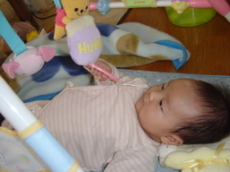 ����Ȃ����̐������L