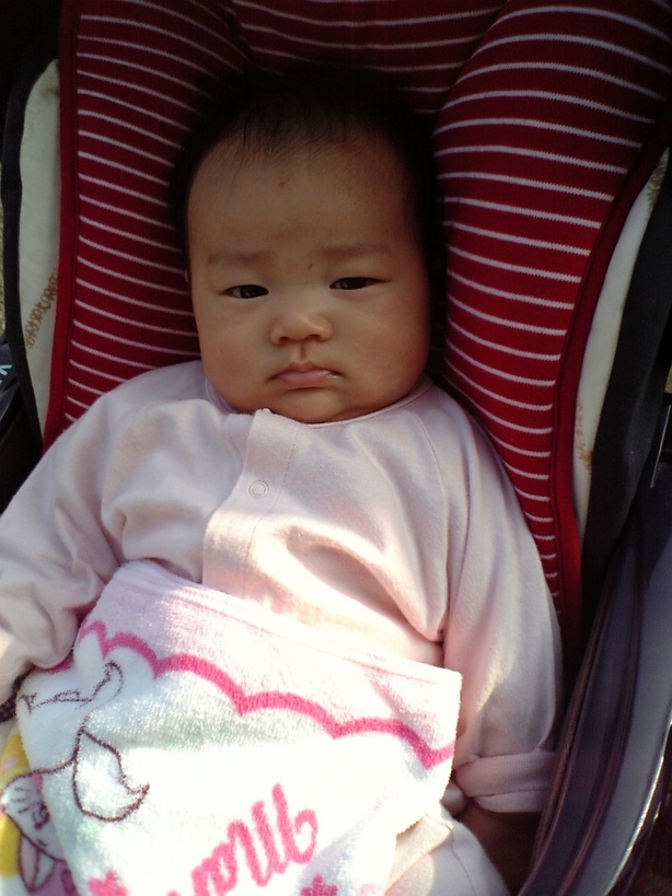 ����Ȃ����̐������L