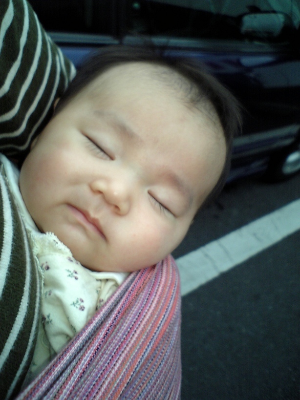 ����Ȃ����̐������L