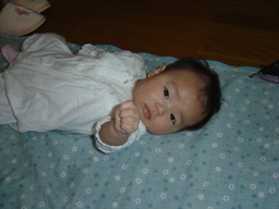 ����Ȃ����̐������L