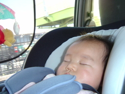 ����Ȃ����̐������L