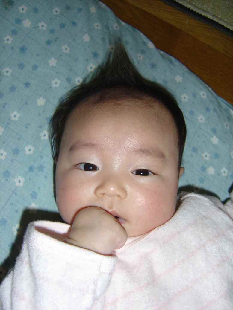 ����Ȃ����̐������L