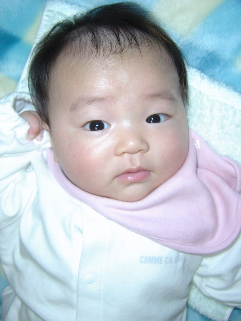 ����Ȃ����̐������L