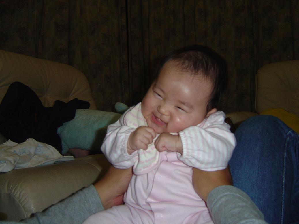 ����Ȃ����̐������L