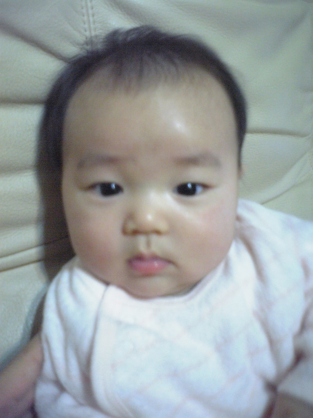 ����Ȃ����̐������L