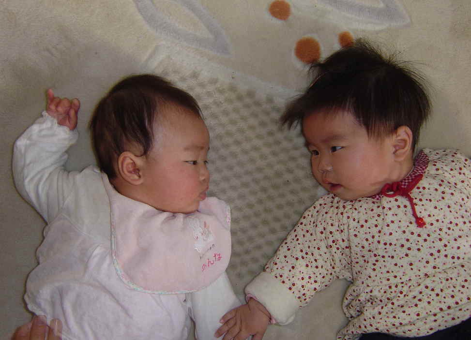 ����Ȃ����̐������L