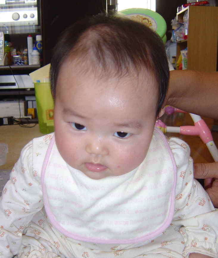 ����Ȃ����̐������L