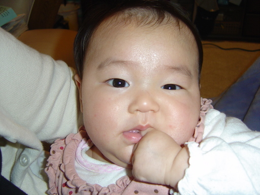 ����Ȃ����̐������L