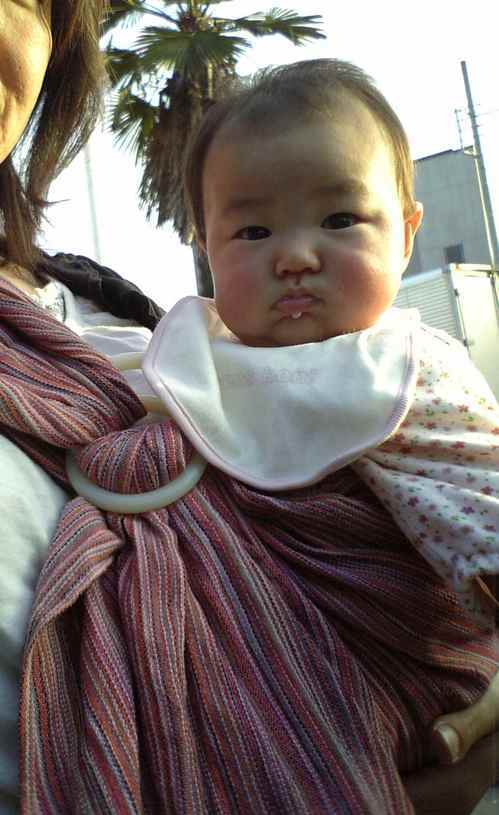 ����Ȃ����̐������L