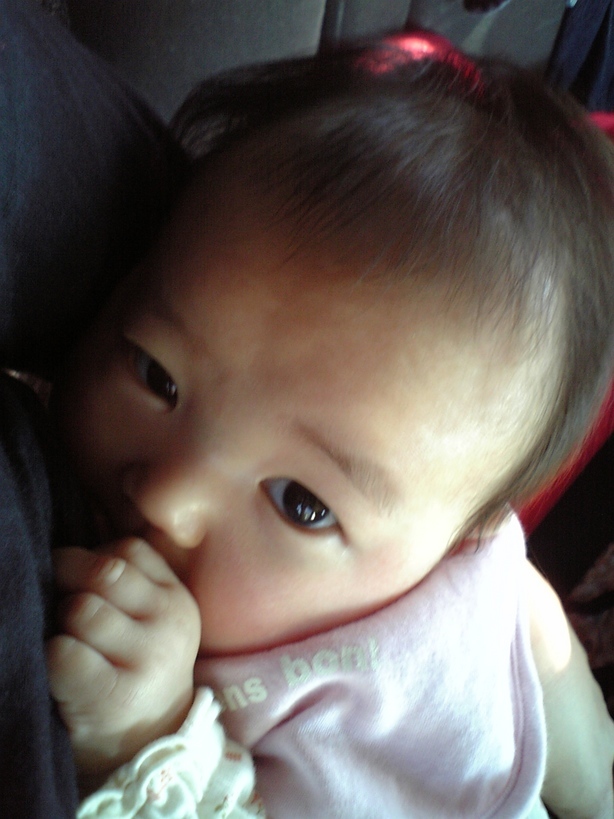 ����Ȃ����̐������L