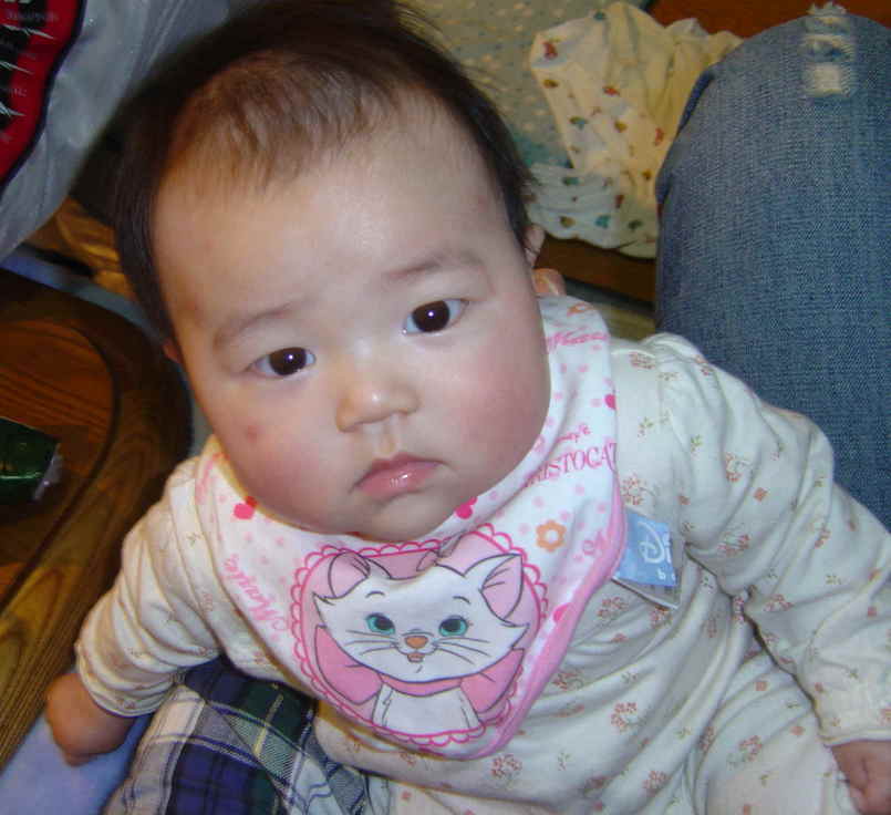 ����Ȃ����̐������L