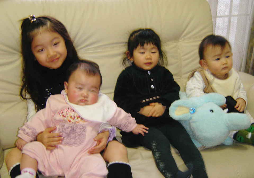 ����Ȃ����̐������L