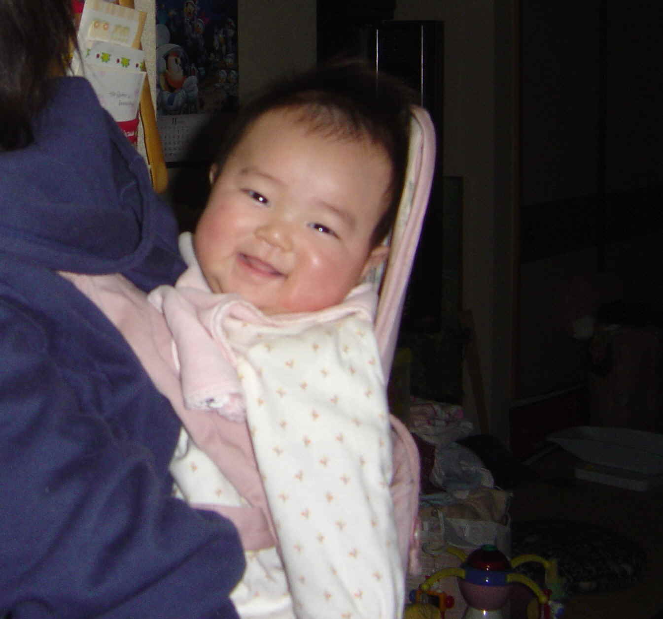 ����Ȃ����̐������L