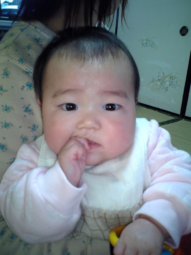 ����Ȃ����̐������L