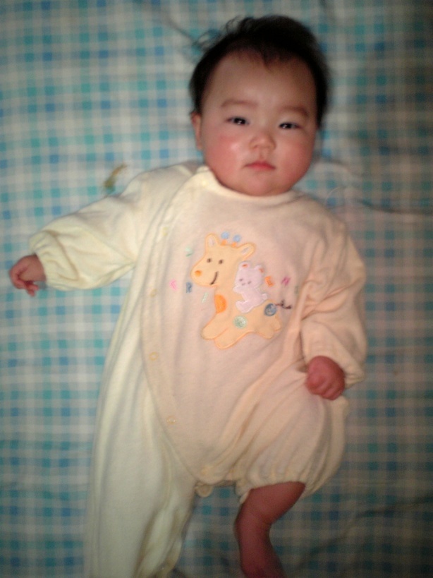 ����Ȃ����̐������L