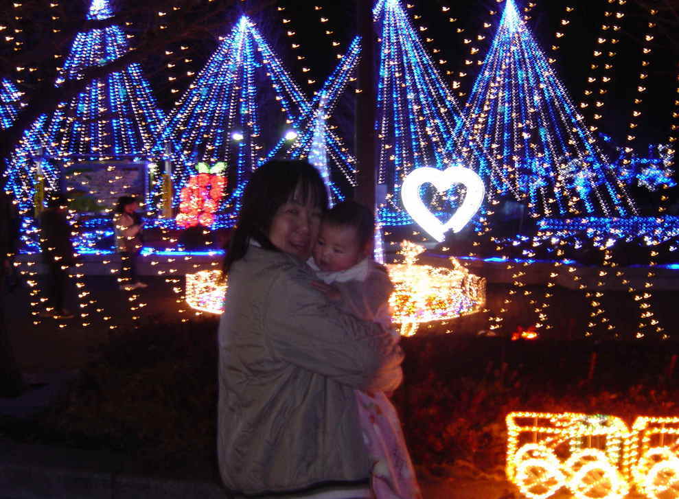 ����Ȃ����̐������L