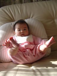 ����Ȃ����̐������L