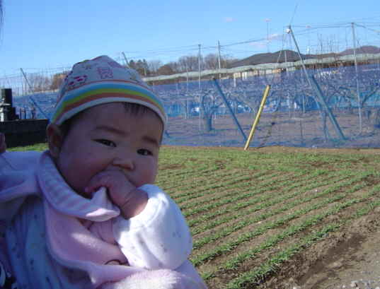 ����Ȃ����̐������L